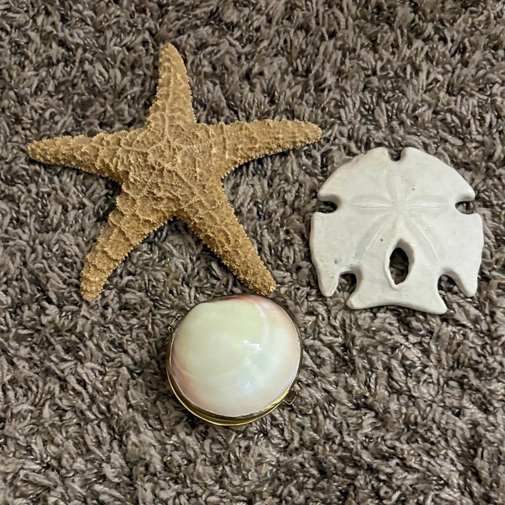 Beach Natural Decor Set Starfish, Sand Dollar, Shell Coin Purse